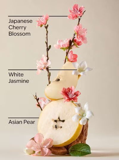 Блиск для губ Japanese Cherry Blossom Bath & Body Works 14 мл 7312202 фото
