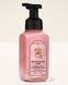 Рідке мило-пінка Brown Sugar & Fig Bath & Body Works 259 мл 8751588 фото