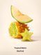 Кремовий скраб для тіла Tropical Melon Starfruit від Victoria's Secret 216 г 8176619 фото 2