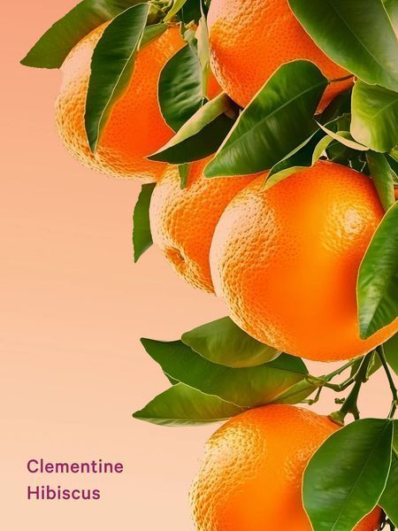 Лосьйон та тіла Clementine Hibiscus Victoria`s Secret 296 мл 6703475 фото