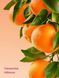 Лосьйон та тіла Clementine Hibiscus Victoria`s Secret 296 мл 6703475 фото 2