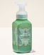 Рідке мило-пінка Fresh Watermelon, Bath & Body Works 259 мл 5505198 фото