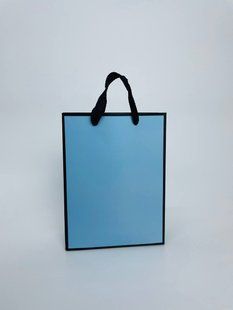 Подарунковий пакет блакитний чорний кант 20*15*6 см 4963413 фото